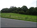 Grazing and woodland beside Pool Road (A483)