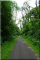 NCN 4 in Penrhos Cutting