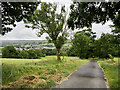 Hill Top Lane rising to Hill Top Farm