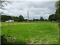 Grazing near Hortonlane