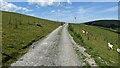 The lovely cycle route across Banc Llety Ifan Hen