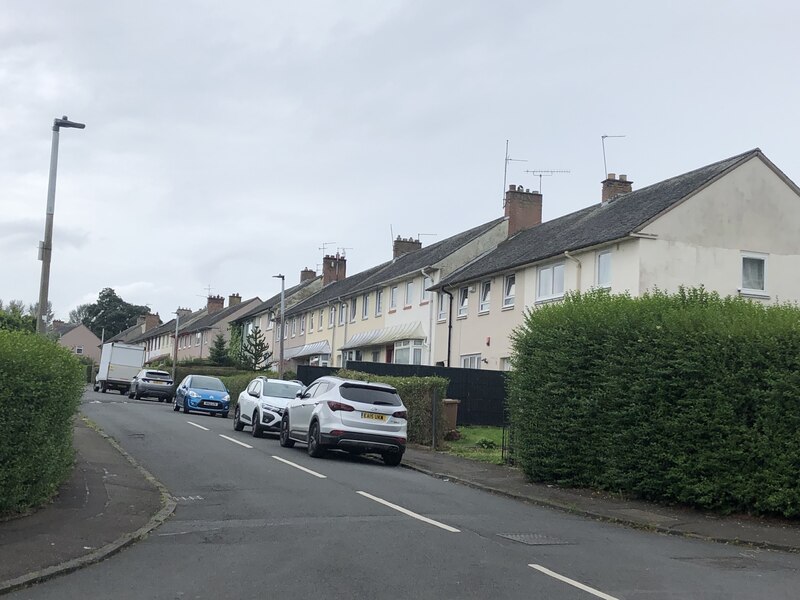 Hazlewood Grove © Richard Webb :: Geograph Britain and Ireland