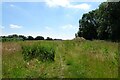 Field beside Cocketshill Wood