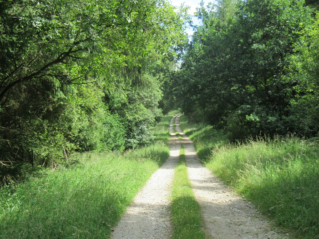 Forest track on Troutsdale Moor © T Eyre :: Geograph Britain and Ireland