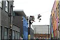 View of shoes hanging on a telephone wire on Chance Street