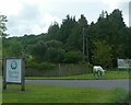 Sculpture of a cow at Birtley House