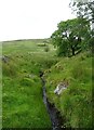 Stream near Gelli