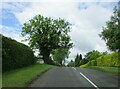 Entering  Knayton  on  Moor  Road