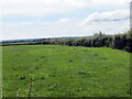 Crug mewn cae / Tumulus in a field