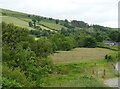 Fields and woodland near Ystradolwyn Fawr