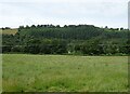 Grassland and woodland, Pen-rhuddlan Bridge