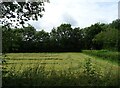 Cut silage field beside the A470