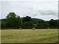 Cut silage field with bales near Llandinam Hall