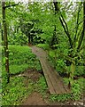 Footbridge along the Habberley Valley Circular Walk