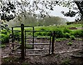 Kissing gate along the Habberley Valley Circular Walk