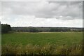 Pasture north of Skipton Rd