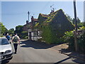 Ivy covered cottage, Old Road North, Kempsey