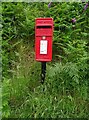 Elizabeth II postbox on the A44, Cymbrwyno