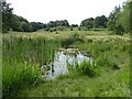 Pond in open space