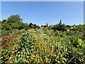 Flower Garden, Helmsley