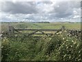 Arable land, Roxburgh