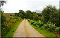 Kernsary track at Inveran