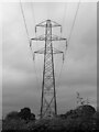 Photograph of a Pylon