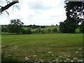 Cut silage field, Rudyard