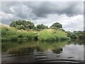 River Forth