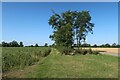 Footpath from Croydon