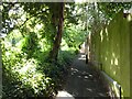 Footpath by Church Road