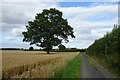 Lane approaching Lingcroft