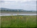 Beside the Nith, Conheath