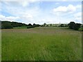 Grassland, Marshhead