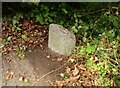 Old Milestone by the A5119, Main Road, Whitegate, Mold