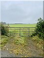 Field entrance -Ty Newydd Farm