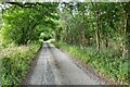 Bridleway on the track to Wood Farm