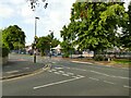 Tiger crossing on Talbot Road