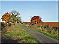 Ironstone Lane towards Wroxton