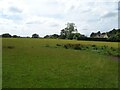 Grassland near Heybridge Farm