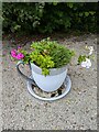 Teacup Planter