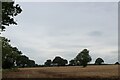 Field beside Allotments Lane