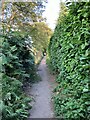 Footpath past Powell Corderoy Primary School