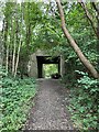 Inholms Clay Pit, North Holmwood