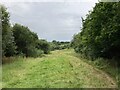 Inholms Clay Pit, North Holmwood