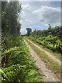 Public footpath to Castell Draenog