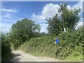 Dead-end lane to Pantgwyn Farm