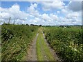 Toddington Lane