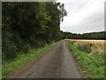 Minor road near Battledykes