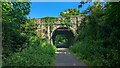 Bridge over the Camel Trail